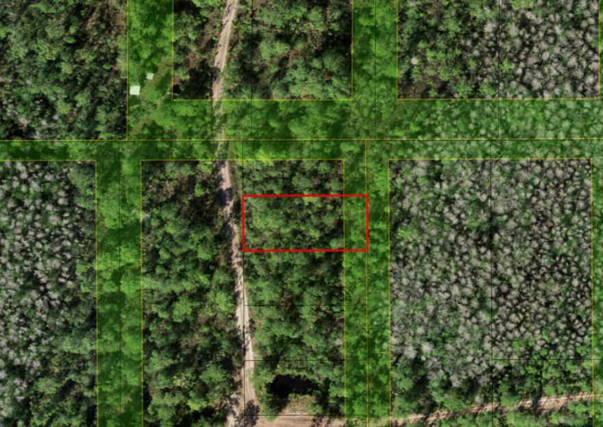 CAMP HUNT RIDE in Holopaw. Easy access to this lot, yet no roads cutting through. Take advantage of our owner financing and lock this property in for you and your family.