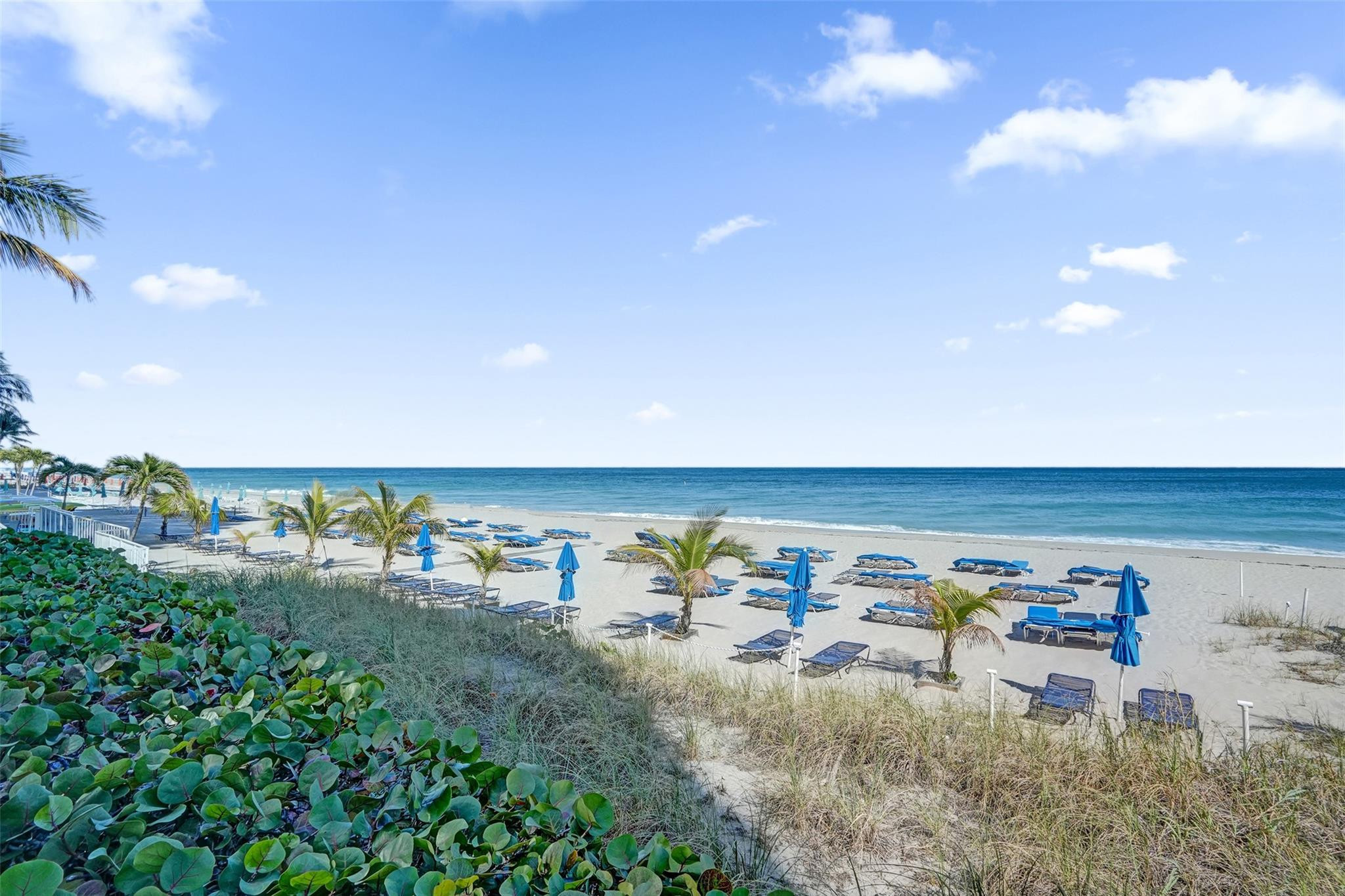 Royal Ambassador - Residential