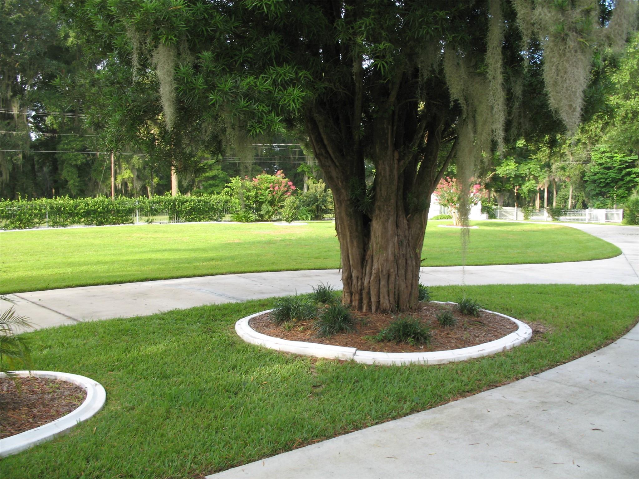 Magnolia Manor - Residential