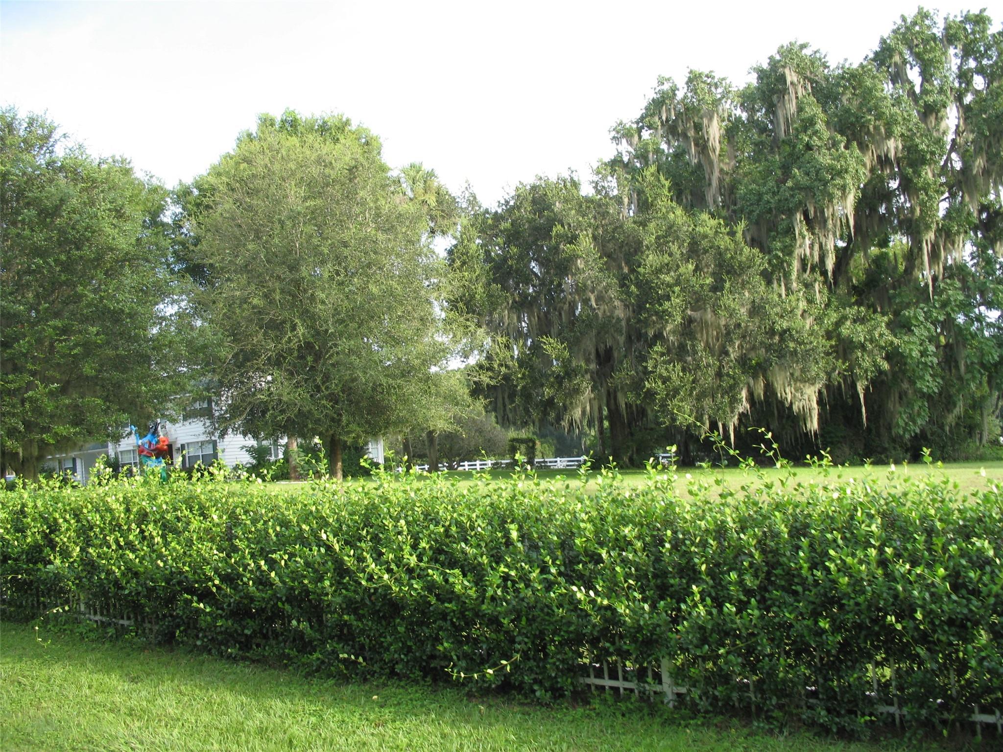 Magnolia Manor - Residential