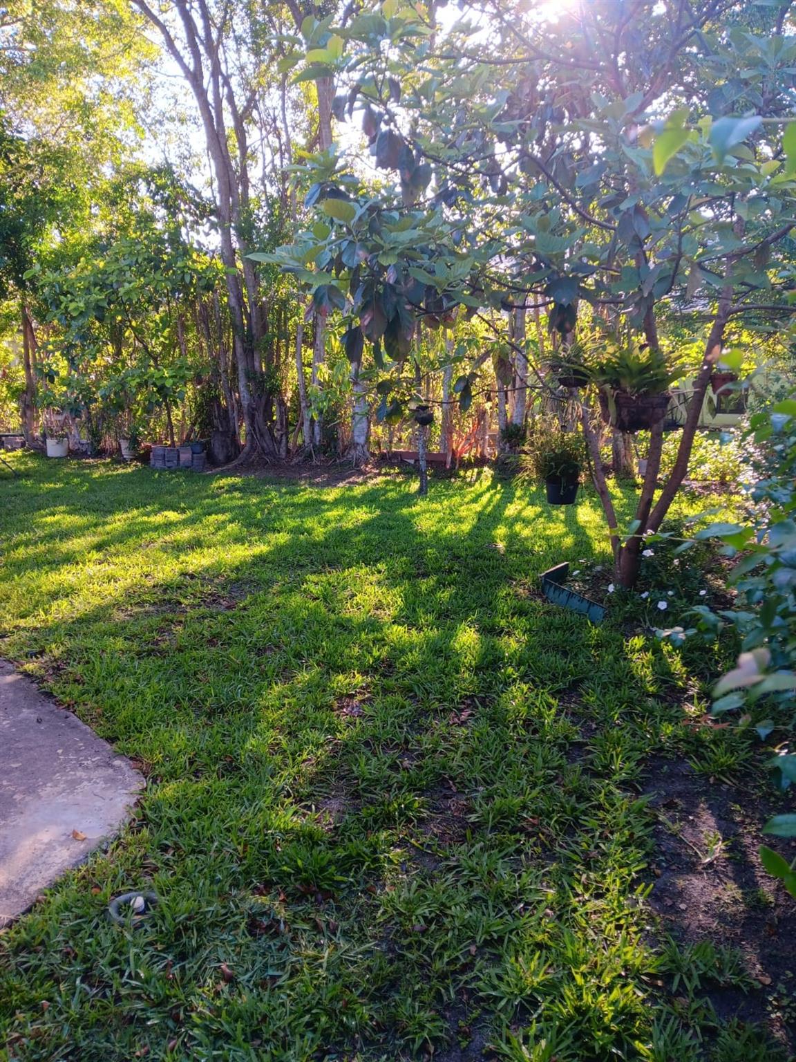 Westwood Commy 6 81-35 B - Residential