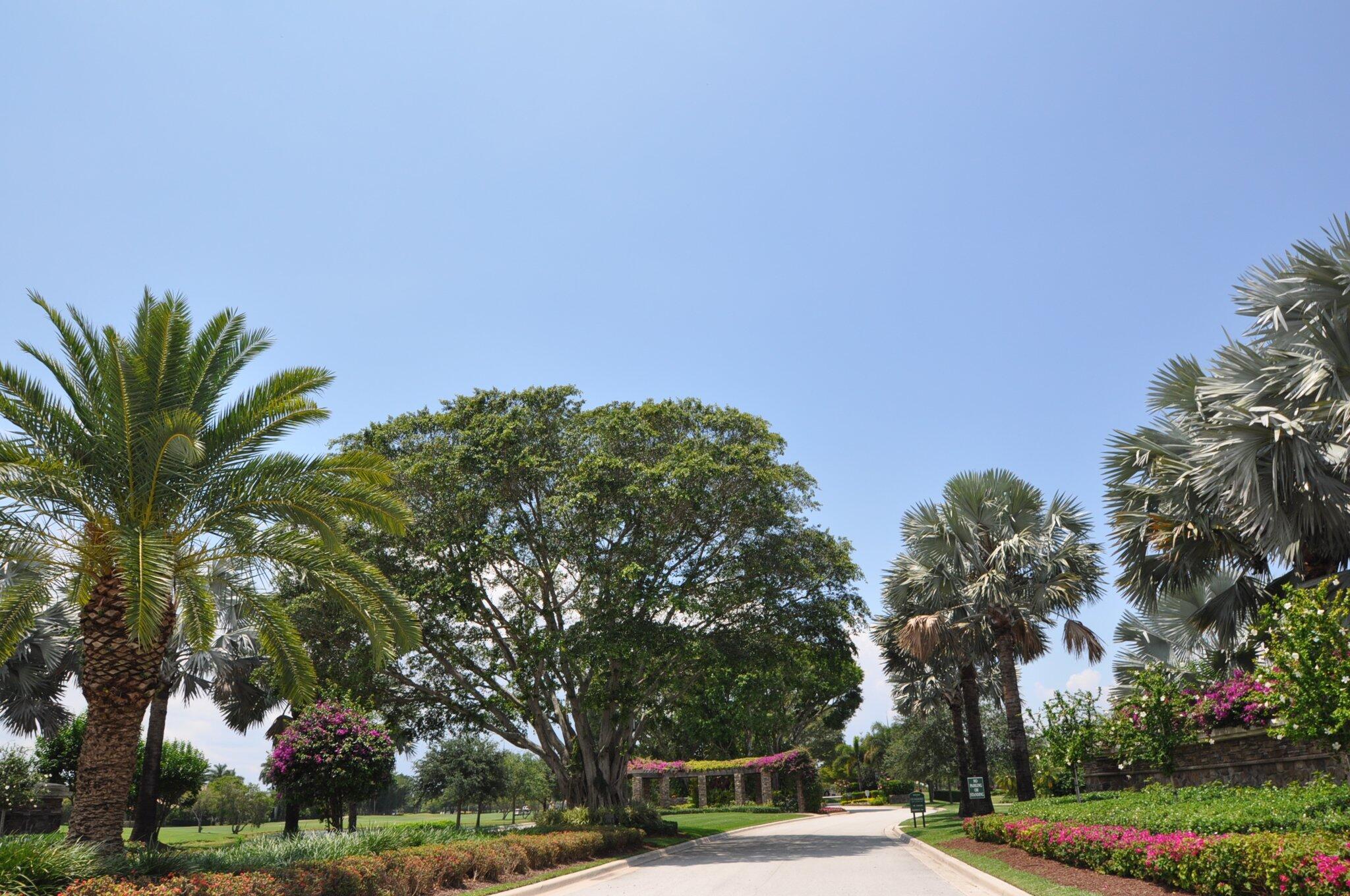 STONEBRIDGE COUNTRY CLUB - Residential