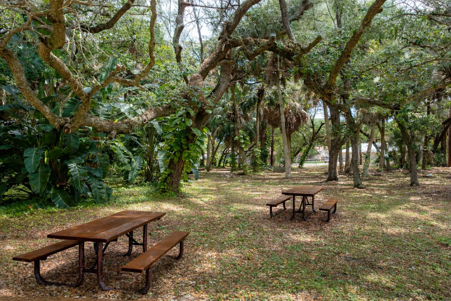 OAKMONT - Residential