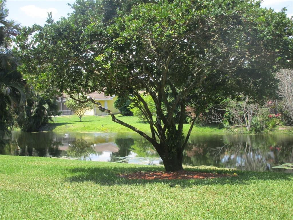 Cocopalms 154-41 B - Residential Lease