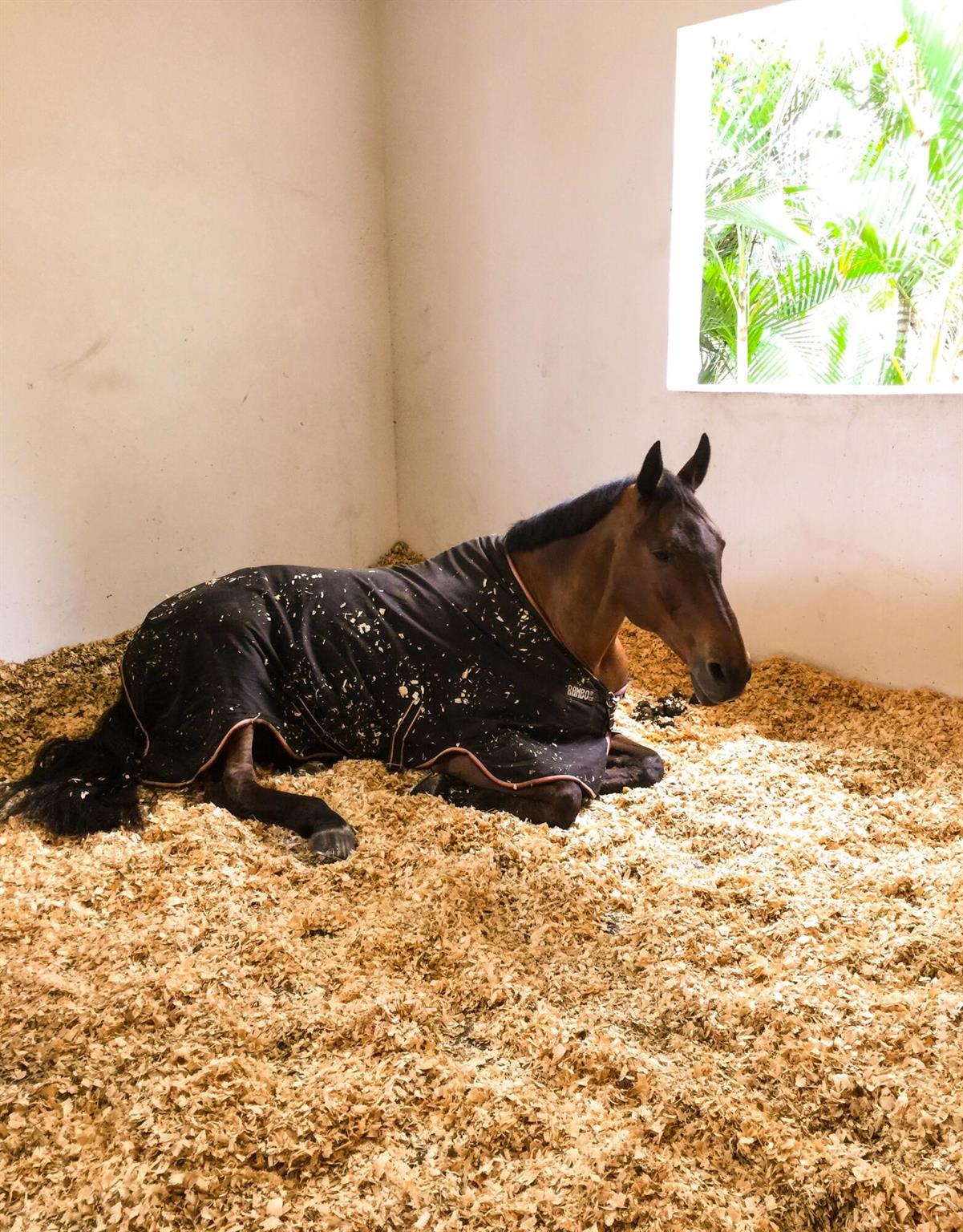 SOUTHFIELDS - Residential Lease