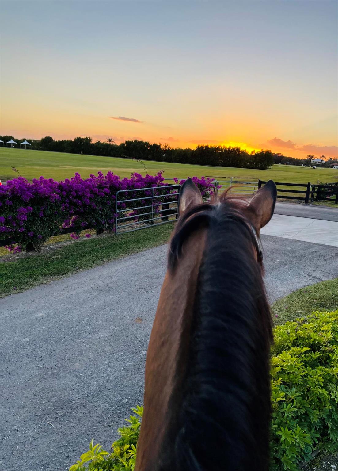 SOUTHFIELDS - Residential Lease