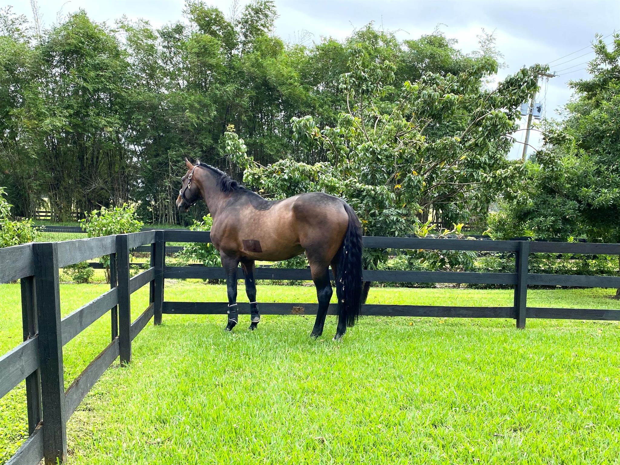 SOUTHFIELDS - Residential Lease