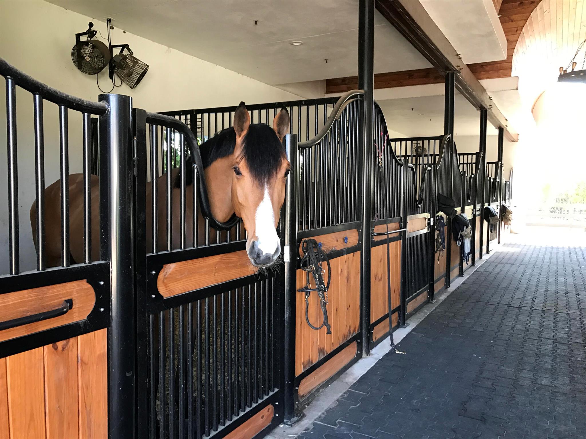 SOUTHFIELDS - Residential Lease