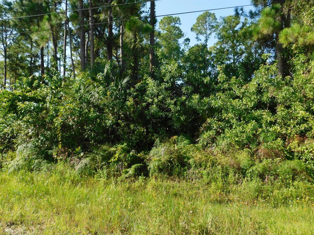 Photo of Lot 43 90th Street N, The Acreage, FL 33470 (MLS # R10904301)