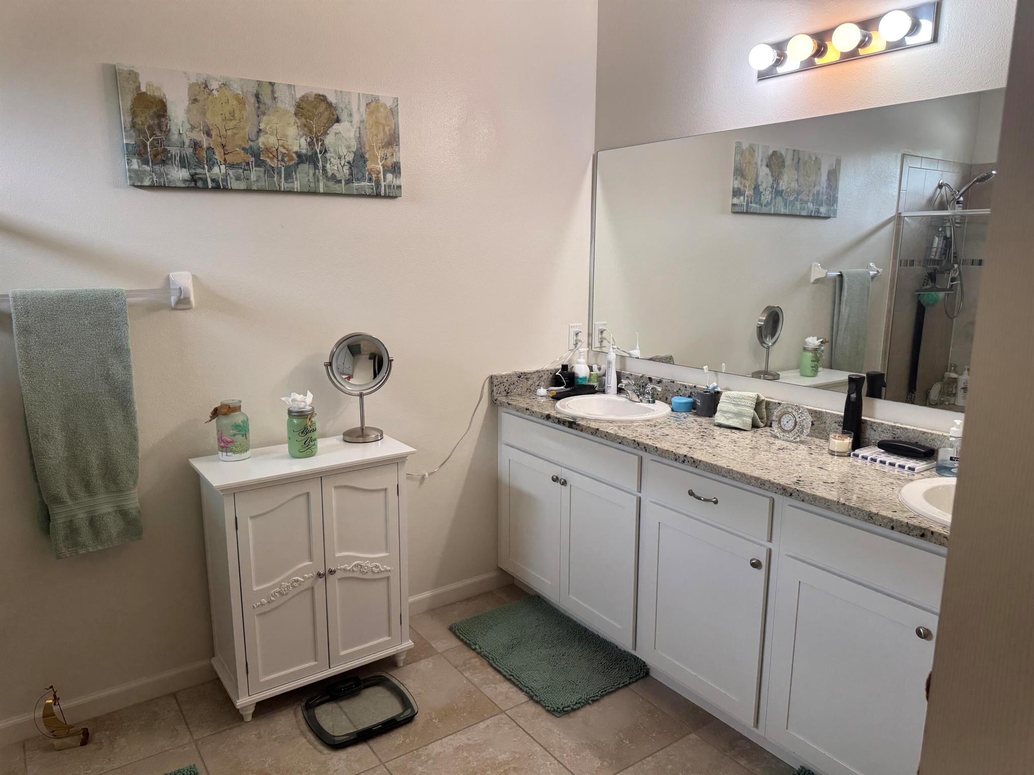 THE PRESERVE AT ST. ANDRE - Residential