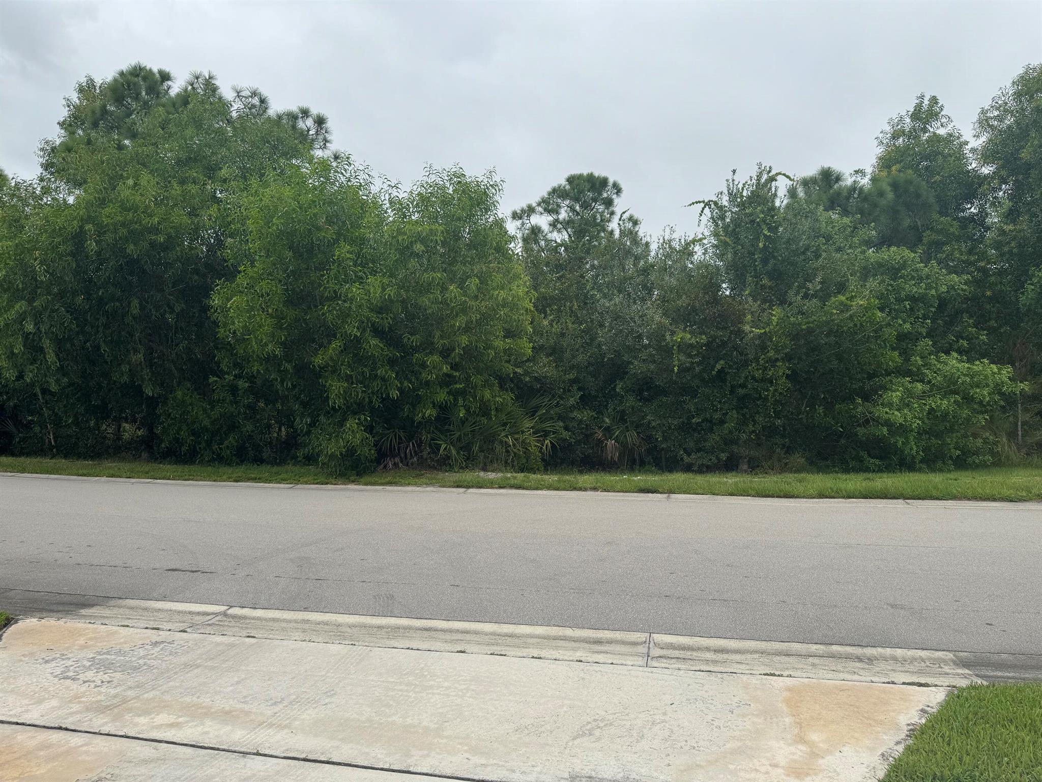 THE PRESERVE AT ST. ANDRE - Residential