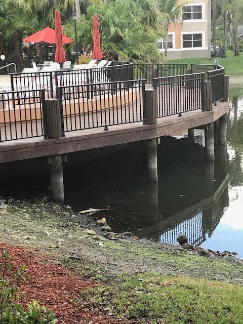 EDGEWATER - Residential Lease