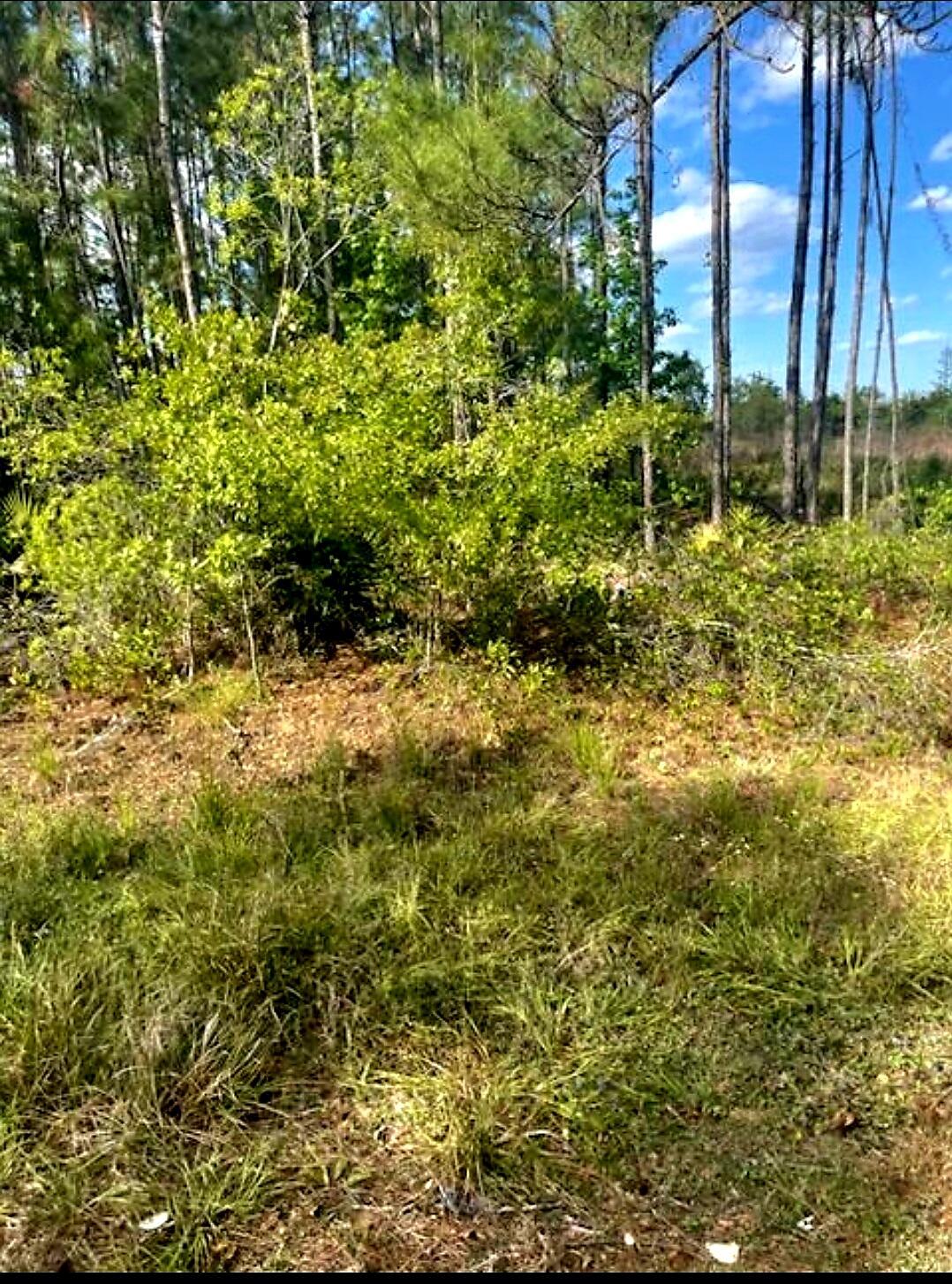 1108306 Oil Well Road