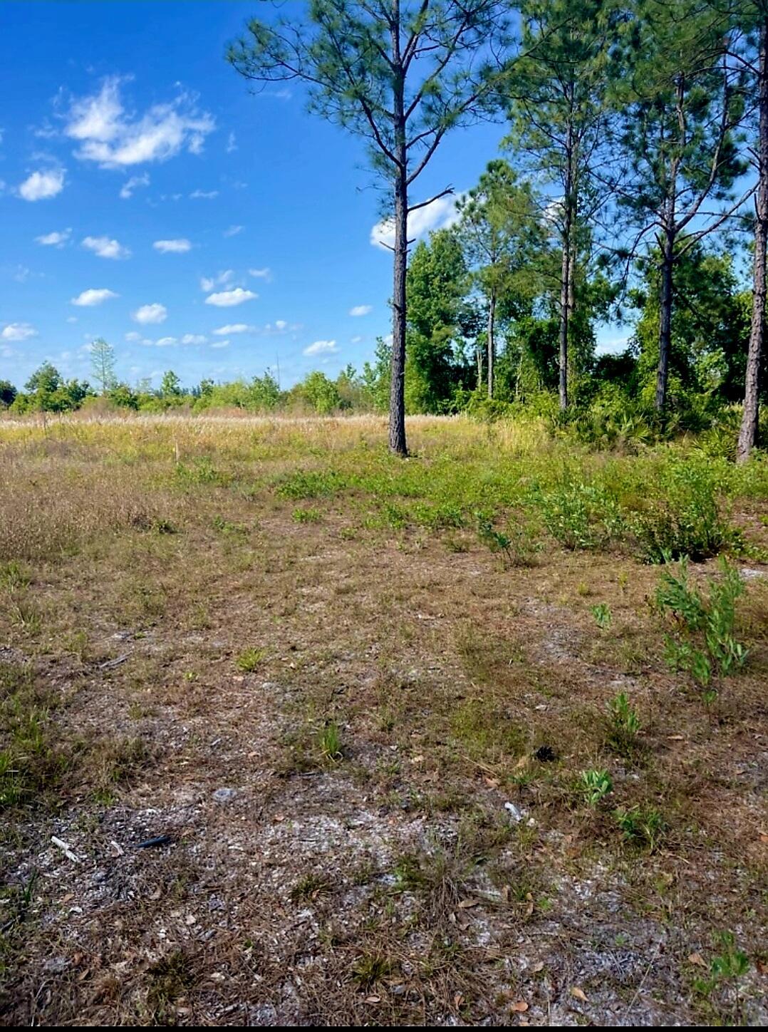 1108306 Oil Well Road
