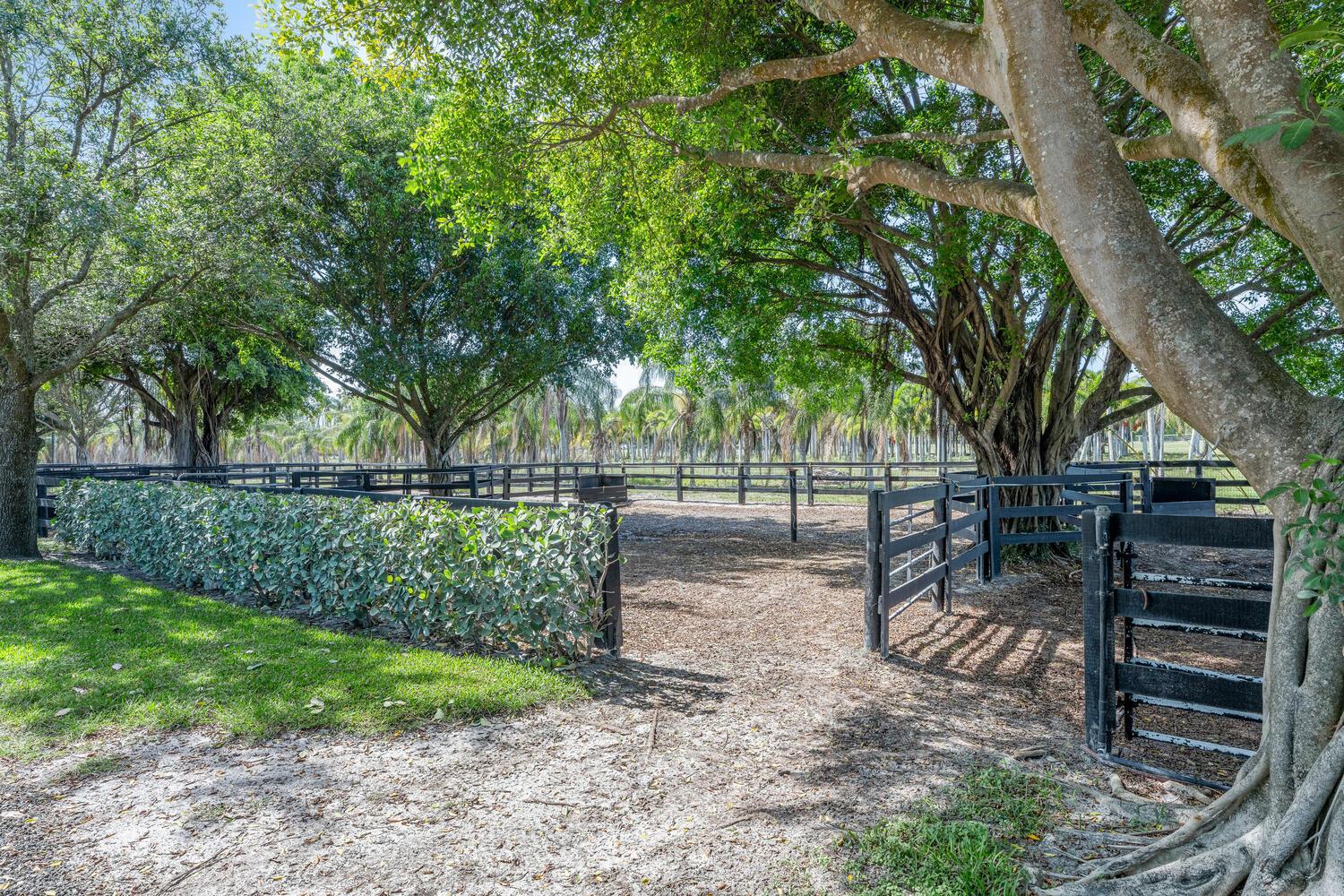 N/A - Residential Lease