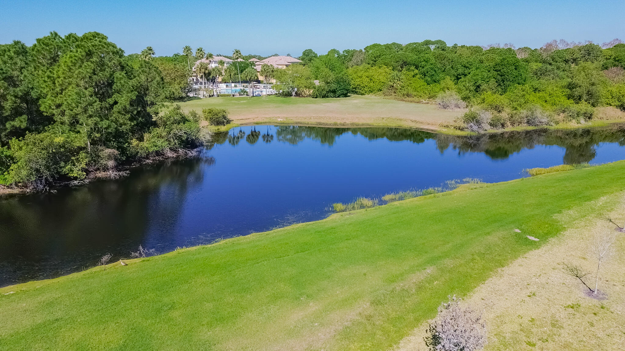 AZALEA - Residential
