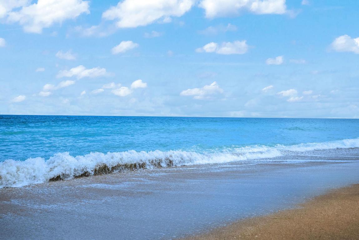 OCEANA OCEANFRONT CONDOMINIUM II - Residential