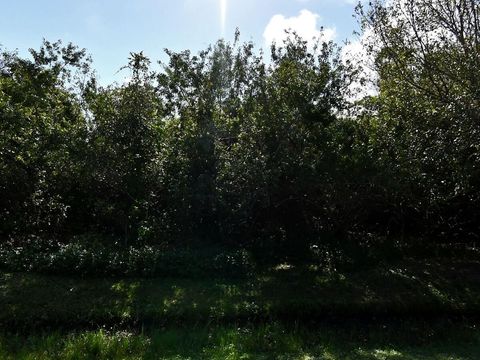 7601 Deer Park Avenue Fort Pierce FL 34951