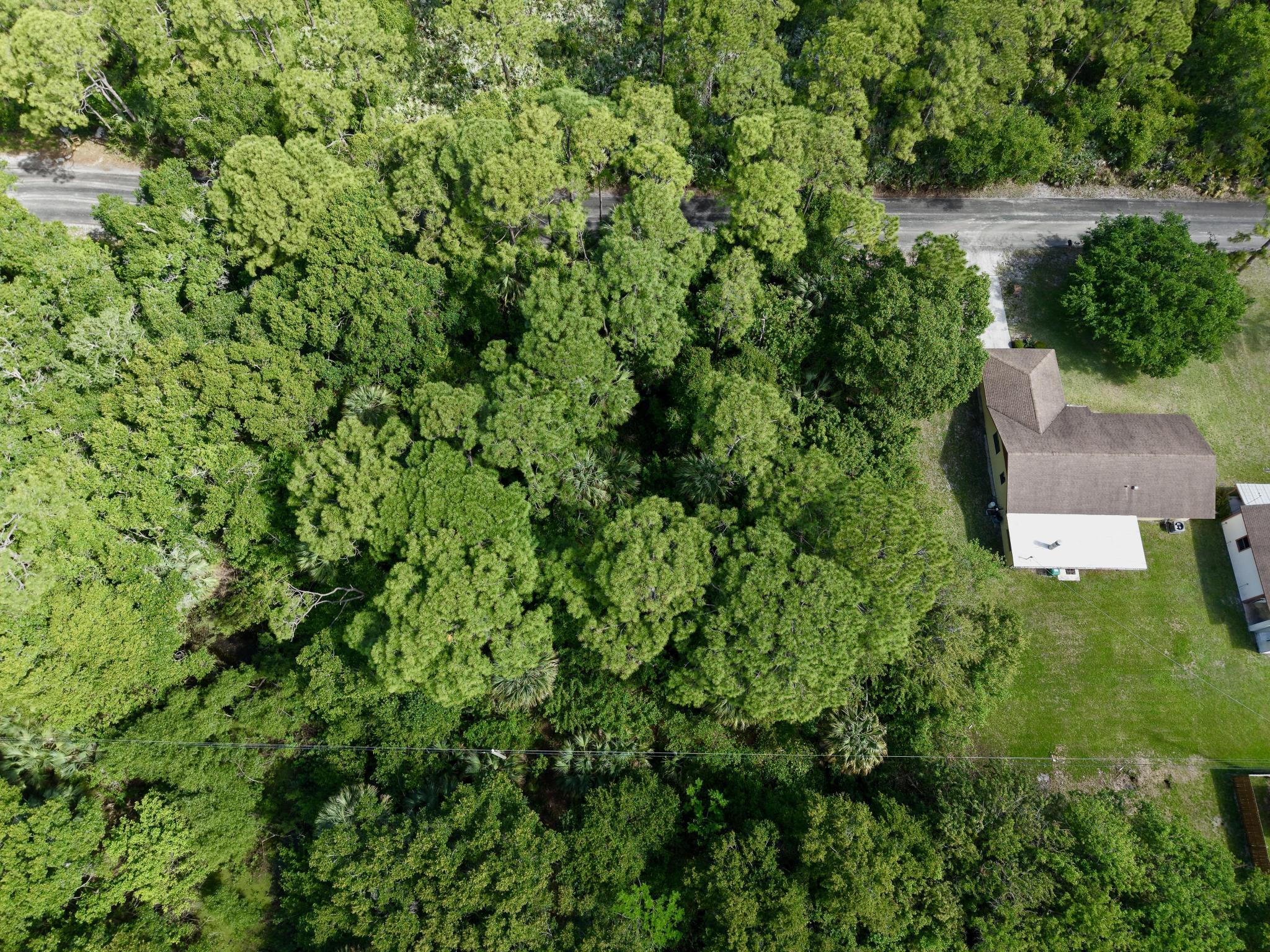 RUHLMAN SUBDIVISION - Land