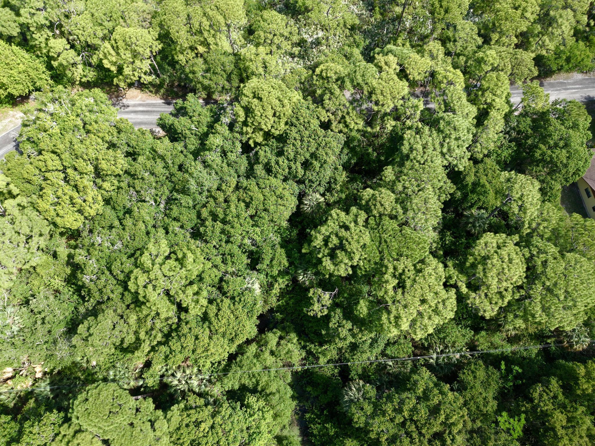 RUHLMAN SUBDIVISION - Land