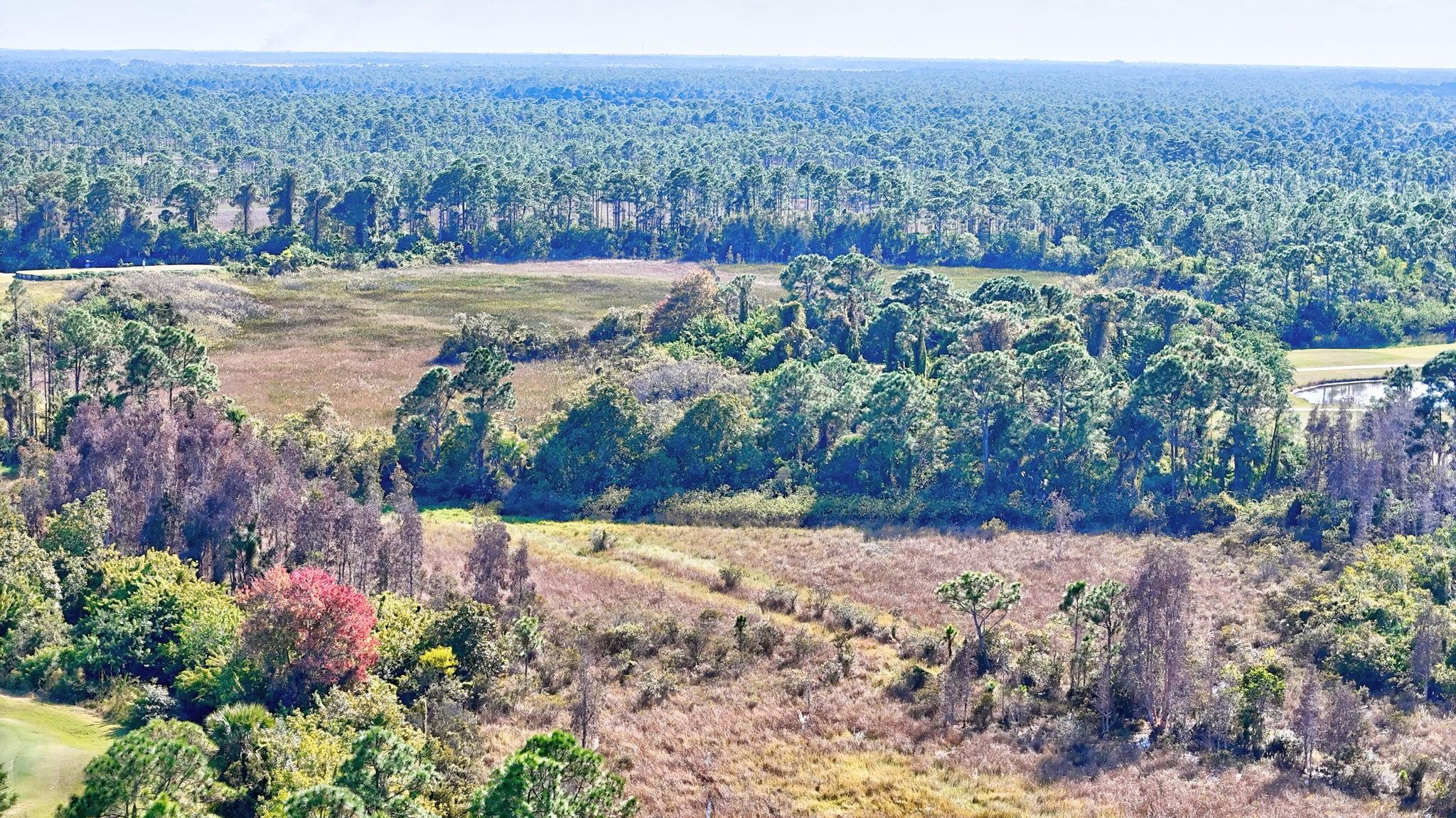 Summerfield Golf Club Ph - Residential