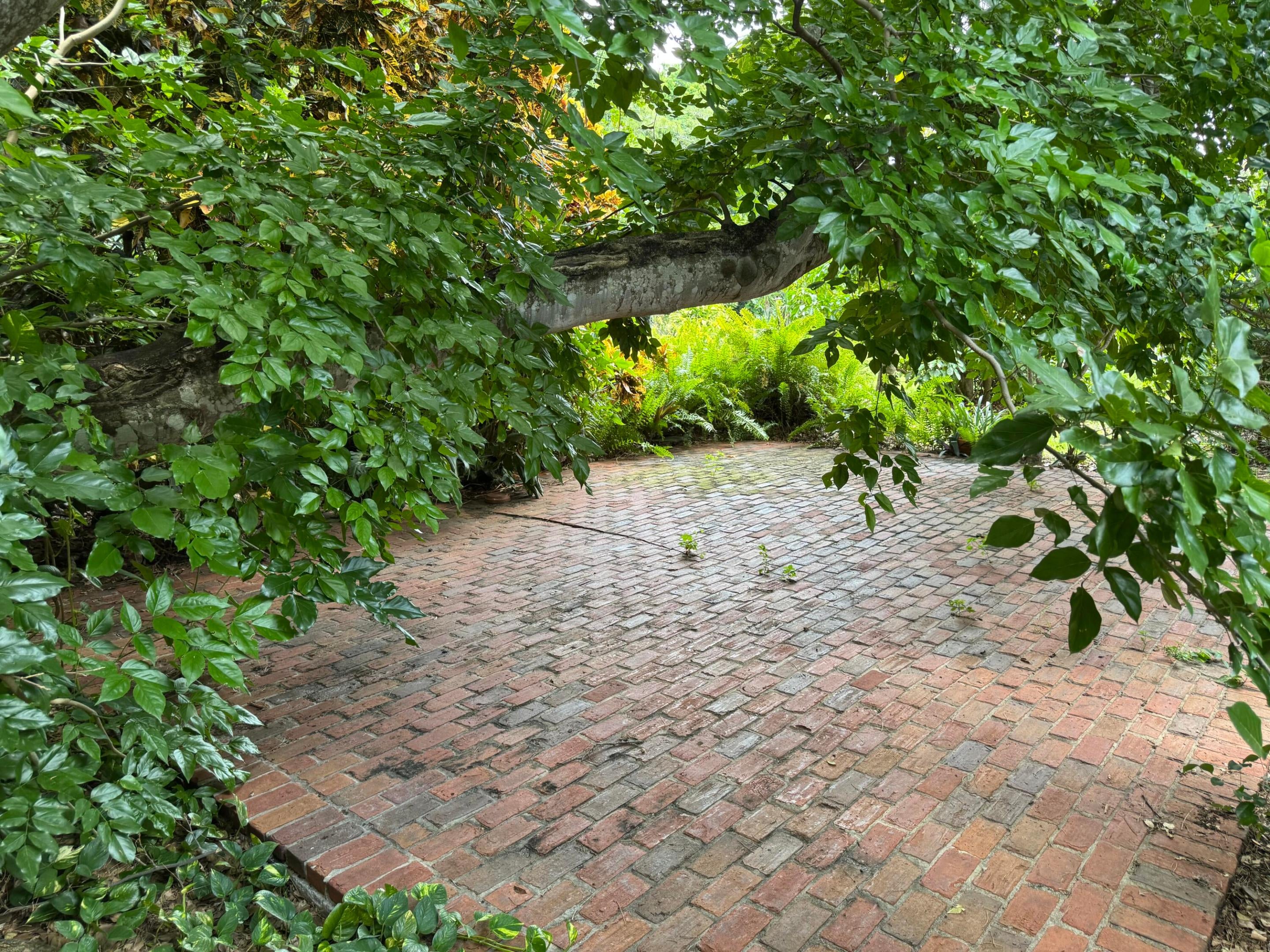 11287 Woodchuck Lane