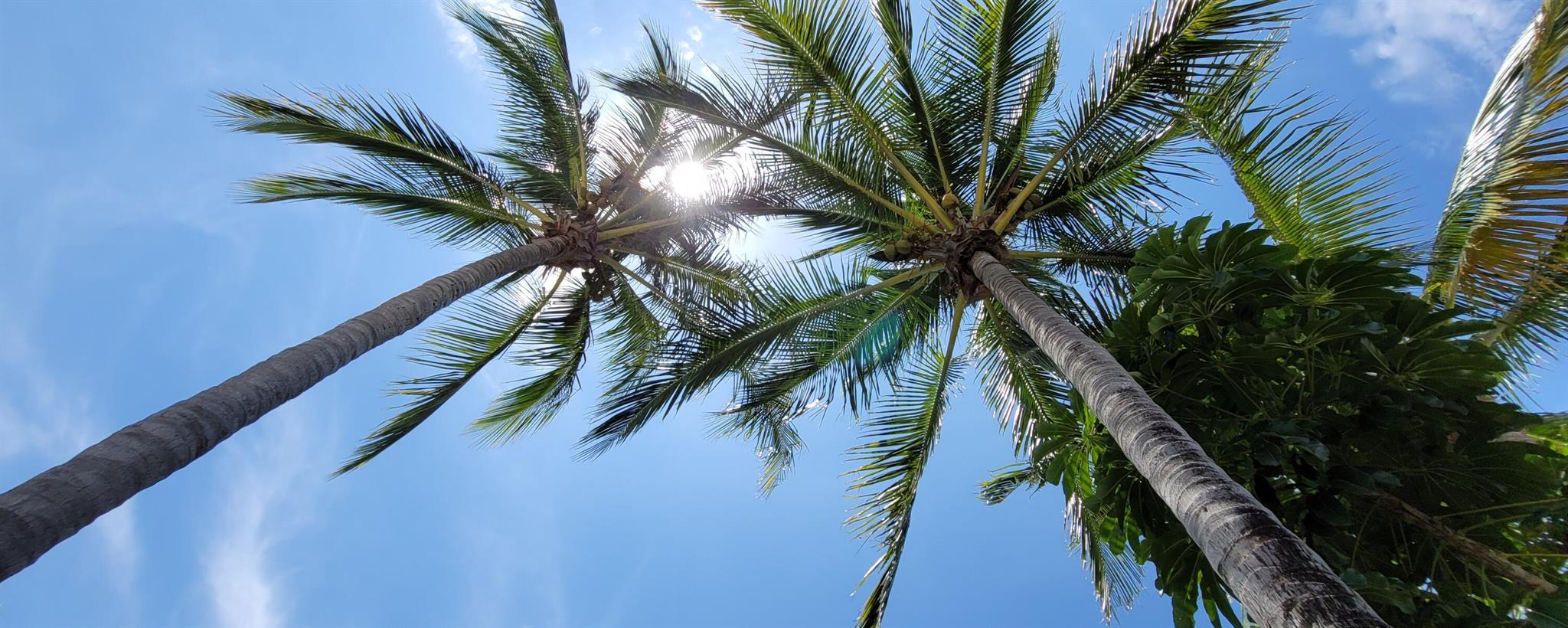 BRADFORD PLACE - Residential