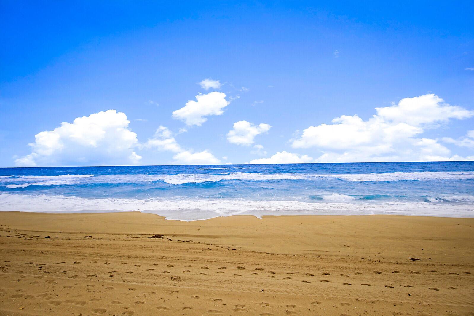 PALMSEA CONDO - Residential Lease