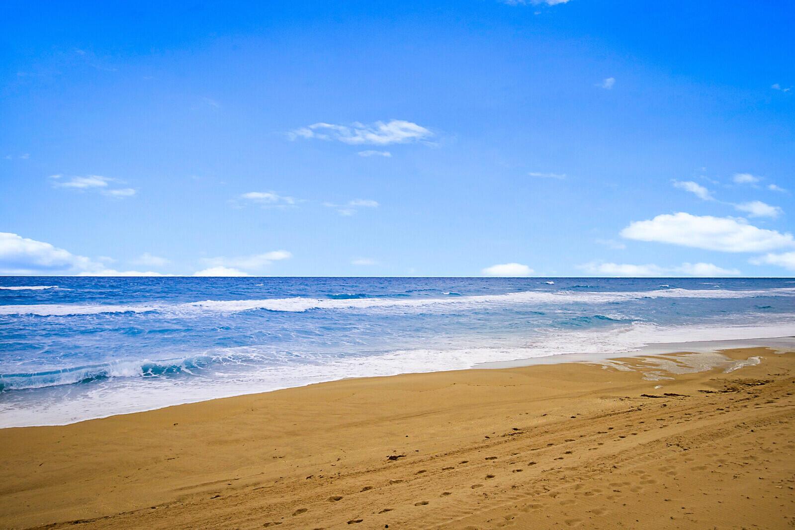 PALMSEA CONDO - Residential Lease