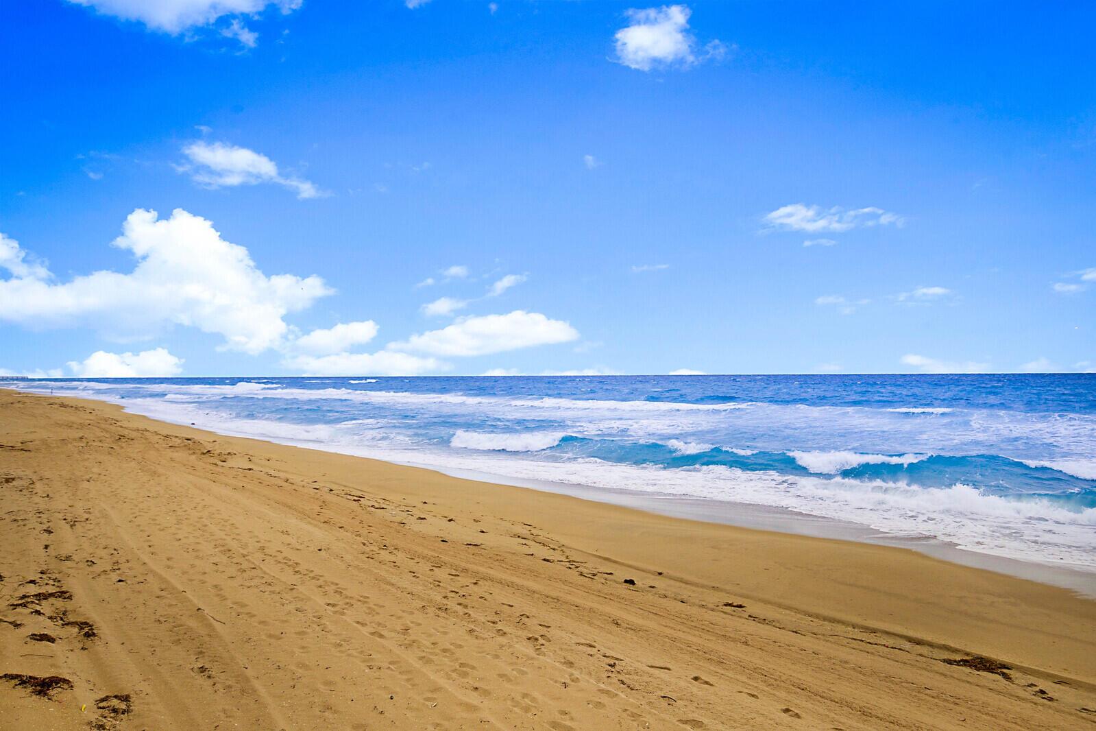 PALMSEA CONDO - Residential Lease