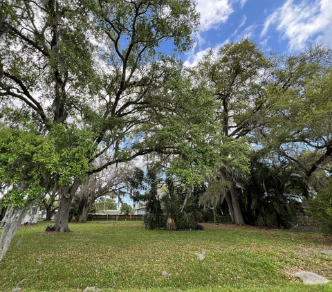 Featured picture for the property R10967051