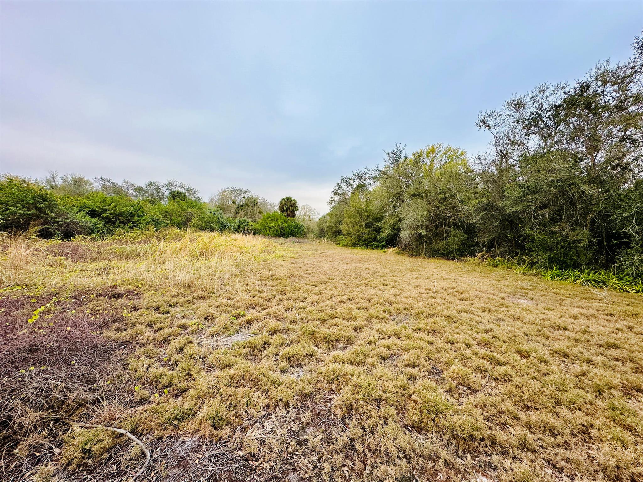 Okeechobee Park- 1.12 acre lot ready for you to build your dream home. Mostly cleared, exterior perimeter of property lined with Oak trees. Property has Cabbage Palms and Brush for privacy and side property lines have barbed wire fence. Power pole in rear of property. Property is high and dry. Come check it out today!