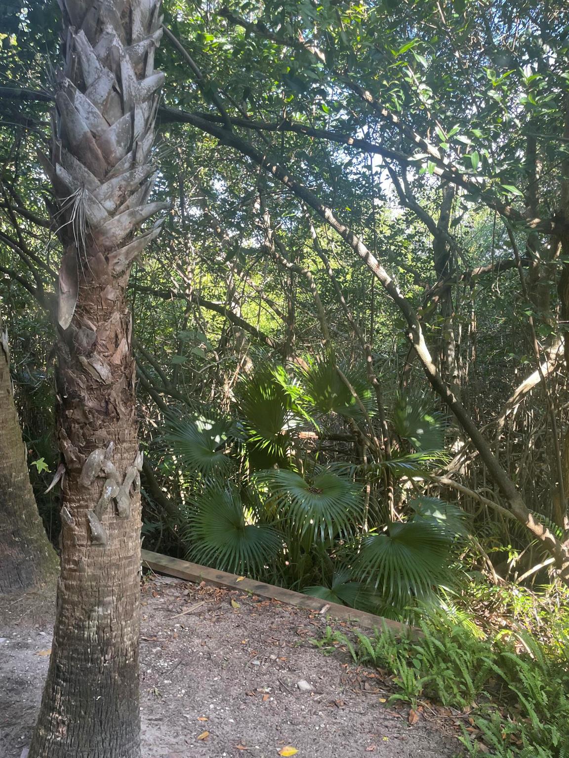 HYPOLUXOS MARINERS CAY CO - Residential