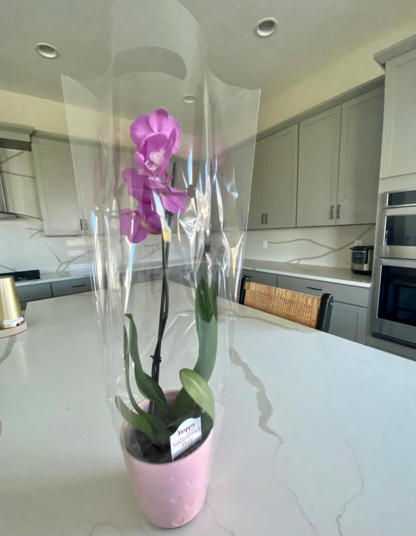 GROVES OF WESTLAKE - Residential Lease