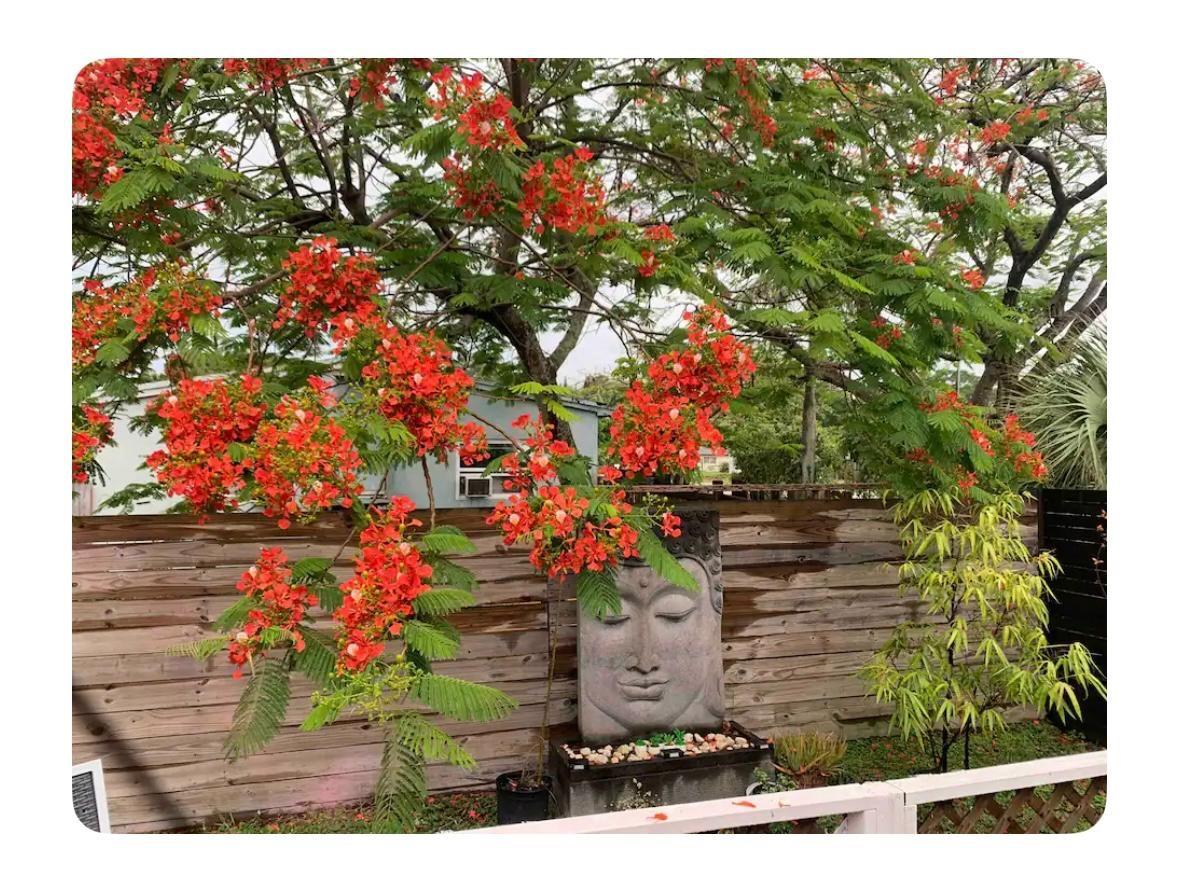 Prospect Gardens 22-26 B - Residential Lease