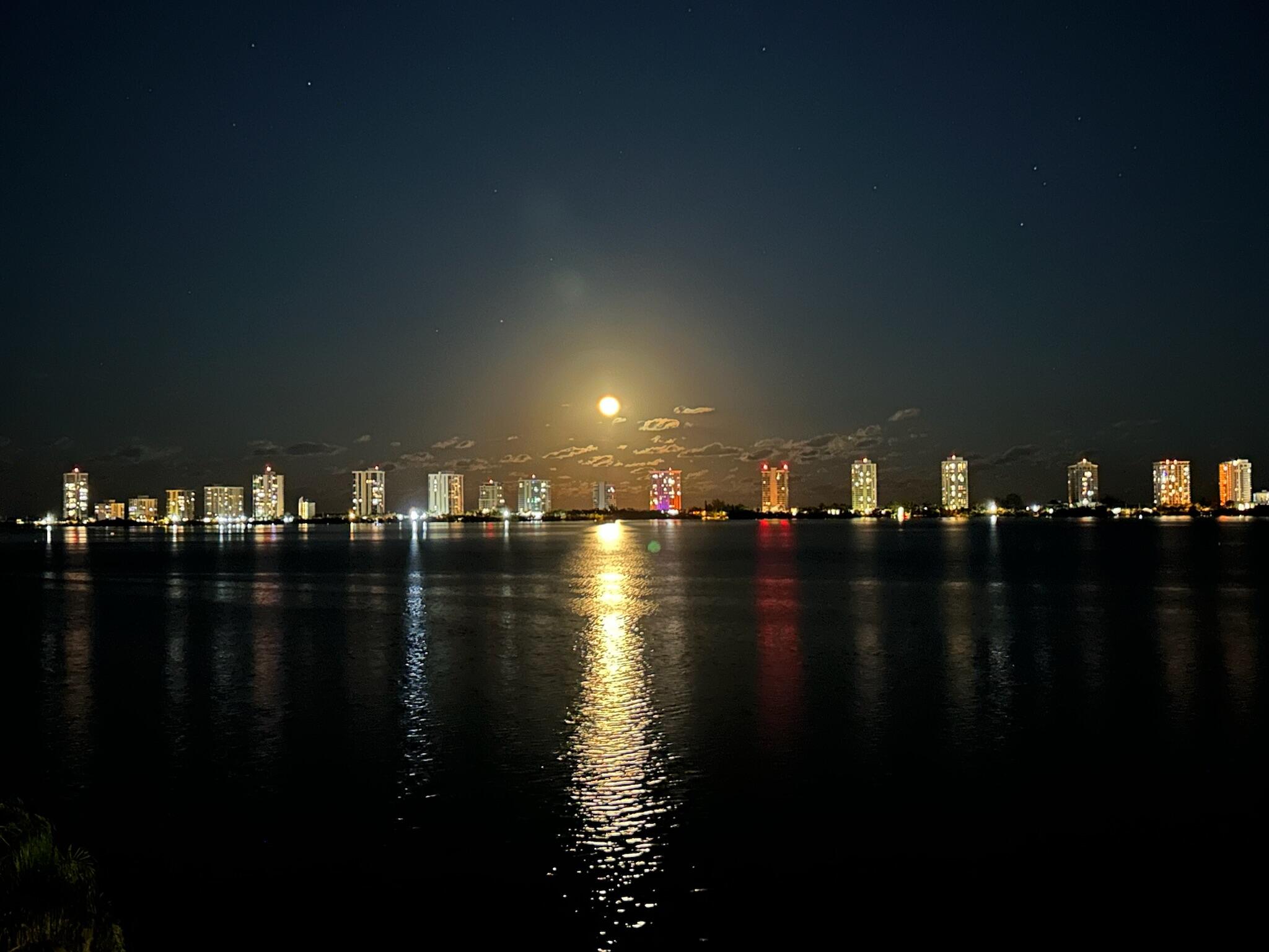 LAKE HARBOUR TOWERS EAST CONDO - Residential