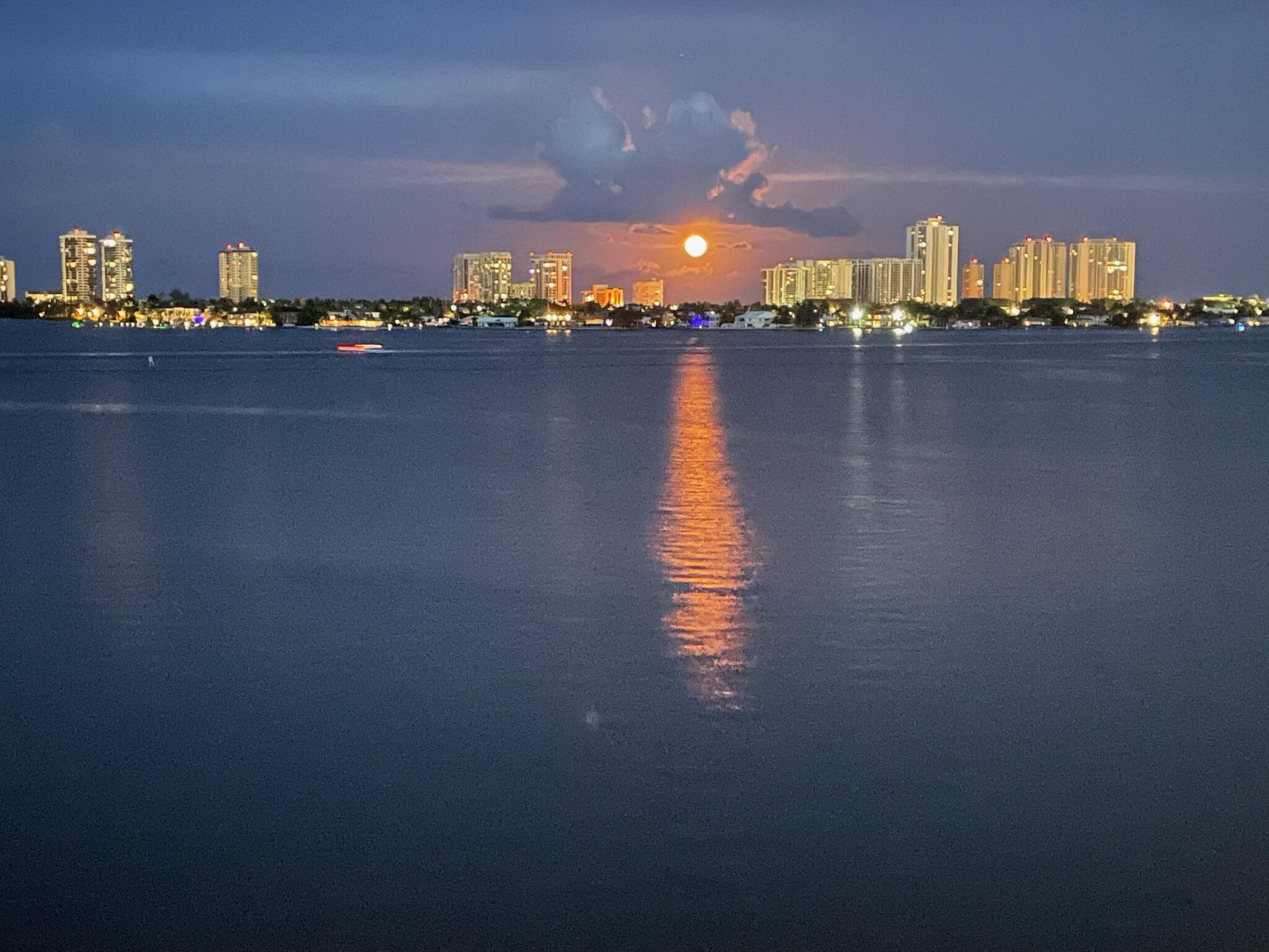 LAKE HARBOUR TOWERS EAST CONDO - Residential