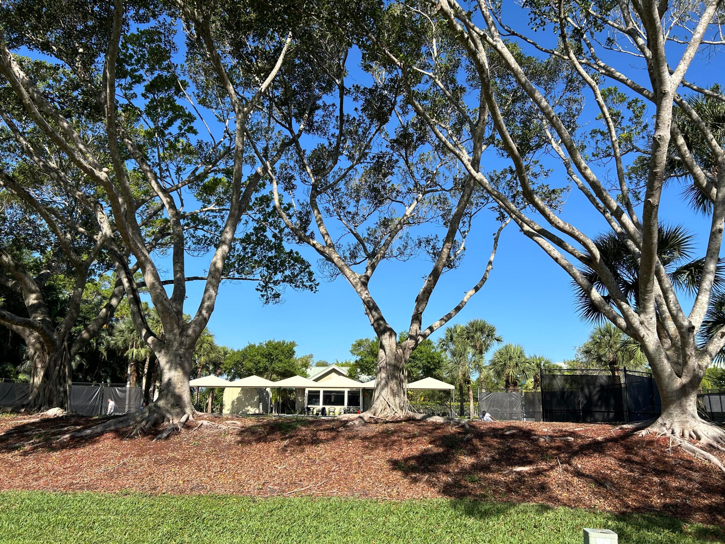 IRONHORSE PAR B-1 - Land