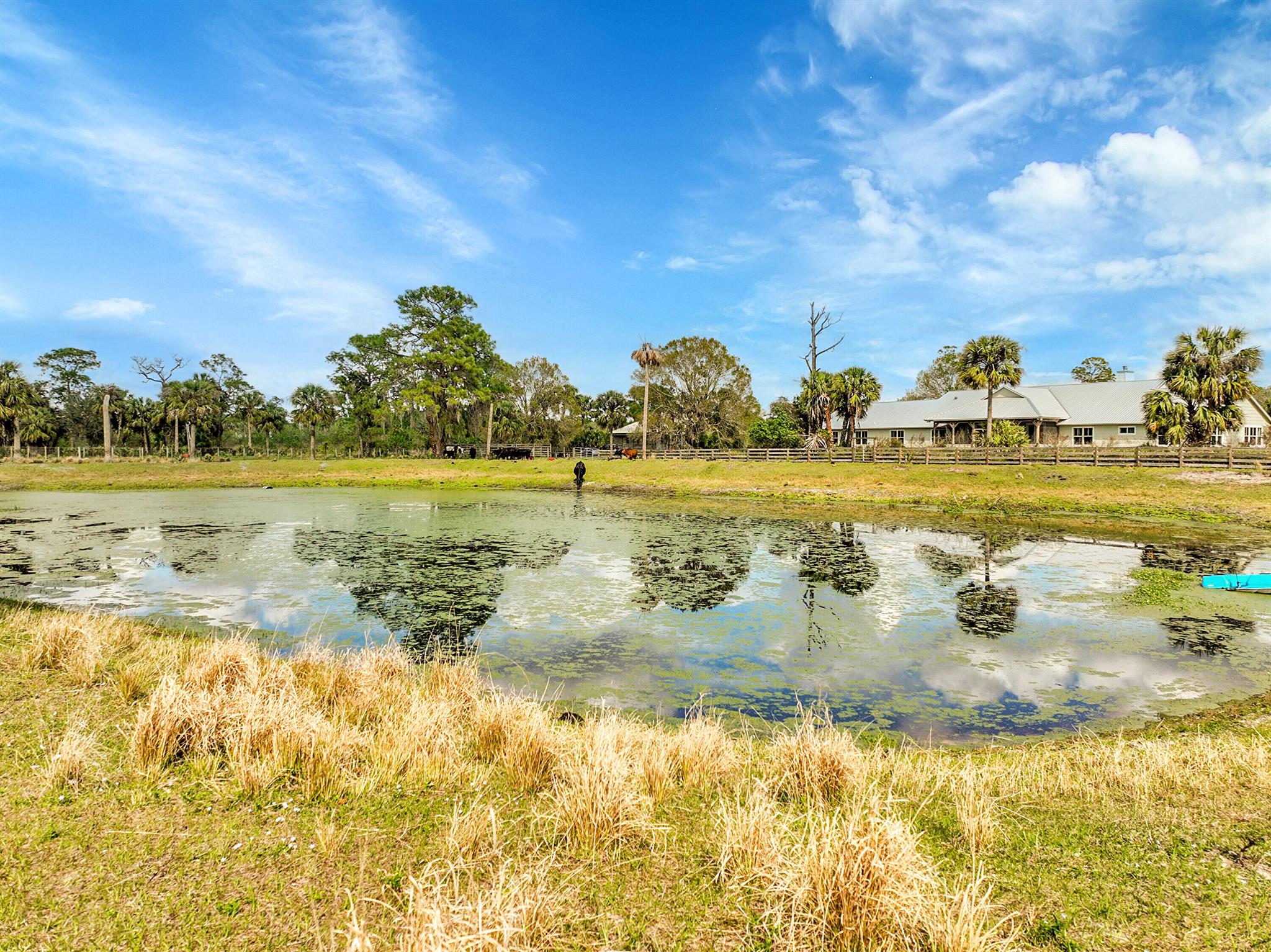 665000 Stuart Woods Ranch - Residential