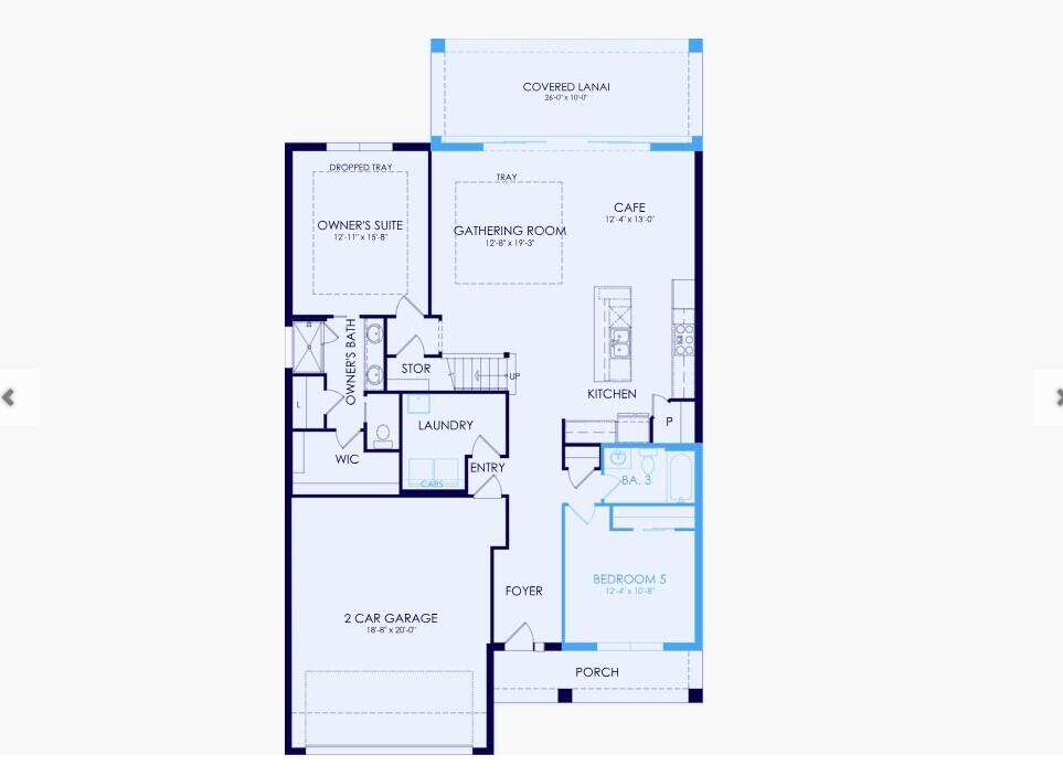 AVONDALE AT AVENIR - Residential