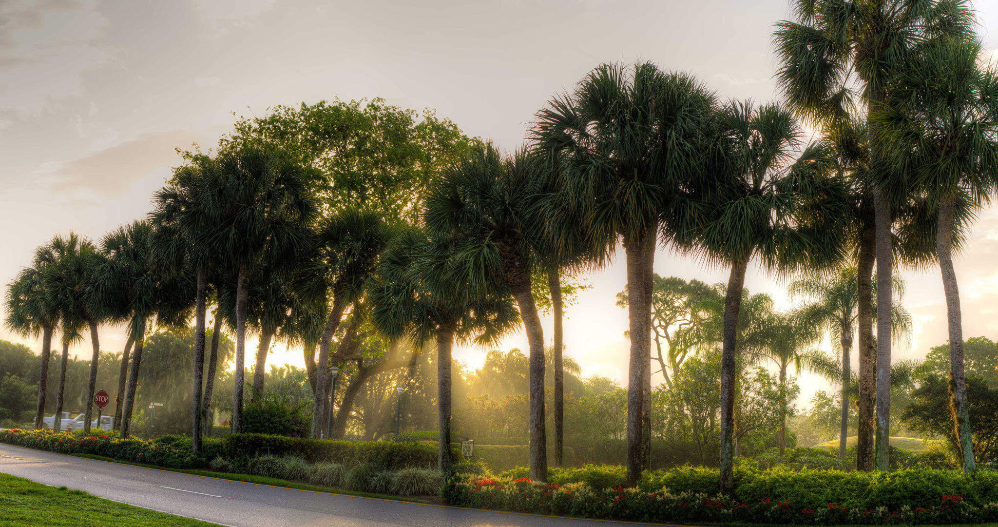 LAUREL OAKS & LAUREL OAKS CONDO - Residential