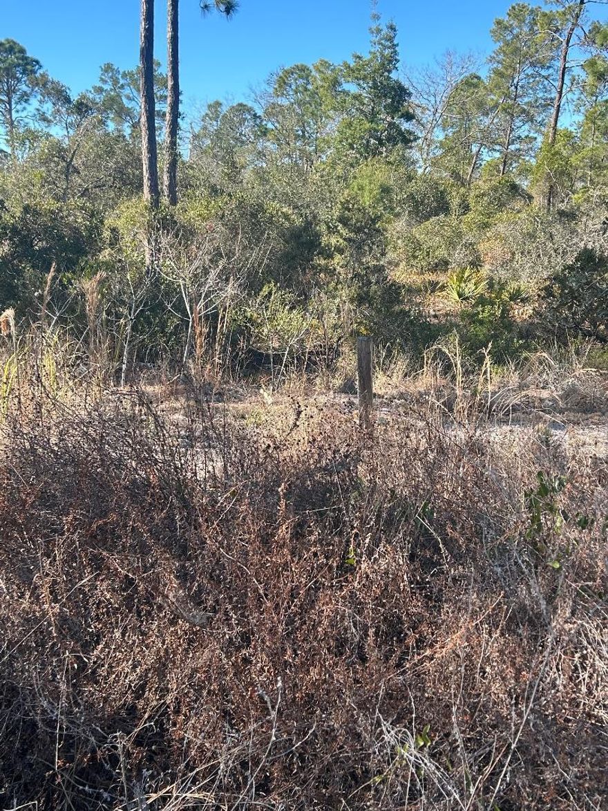 $25K Sun-N-Lakes Vacant Lot Partially Cleared with well