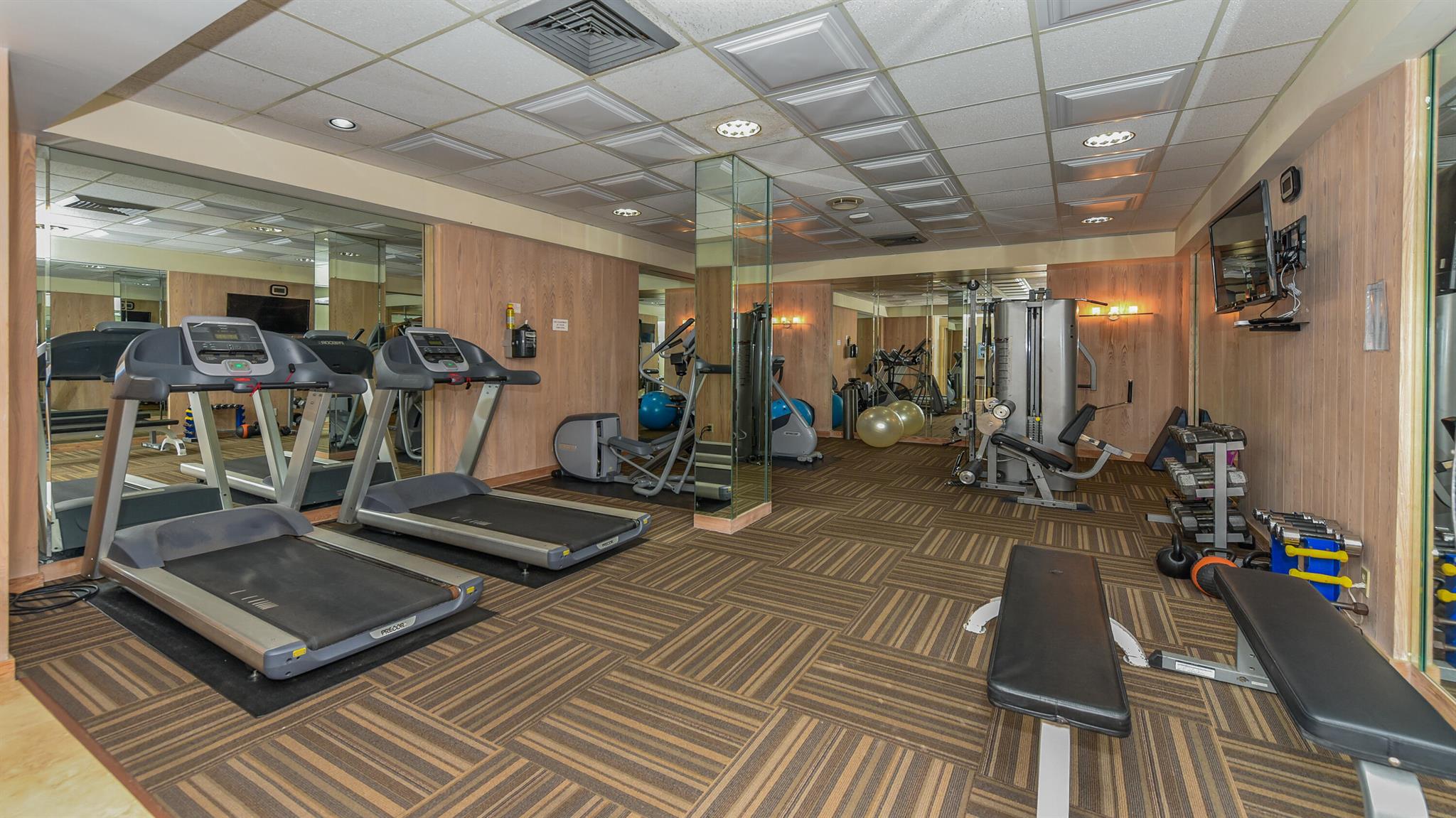 LA PALMA CONDO - Residential Lease