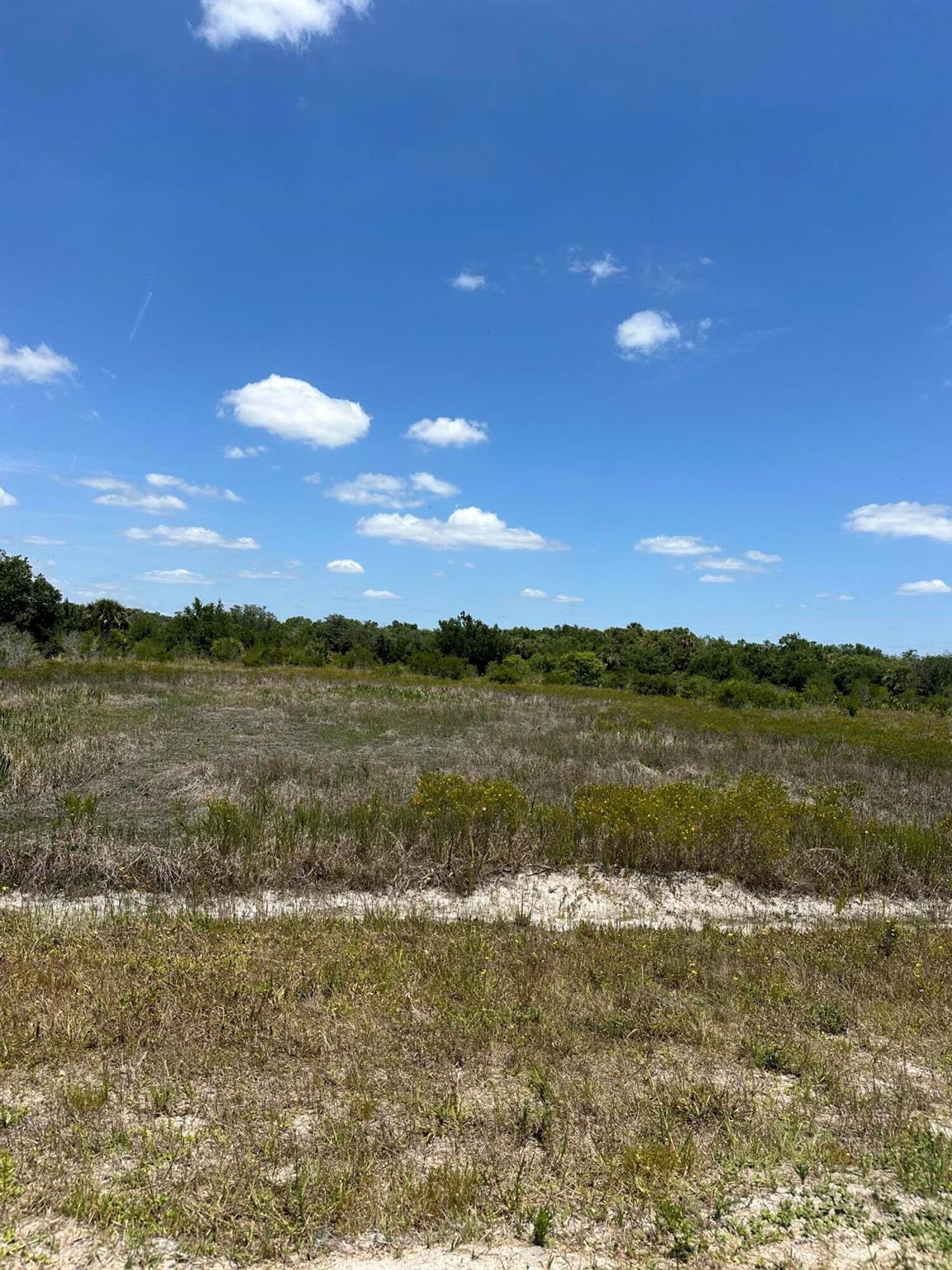 Come and build your dream home on this amazing 1.25 acre lot! Bring your toys, park your buggy and enjoy all this area has to offer.
