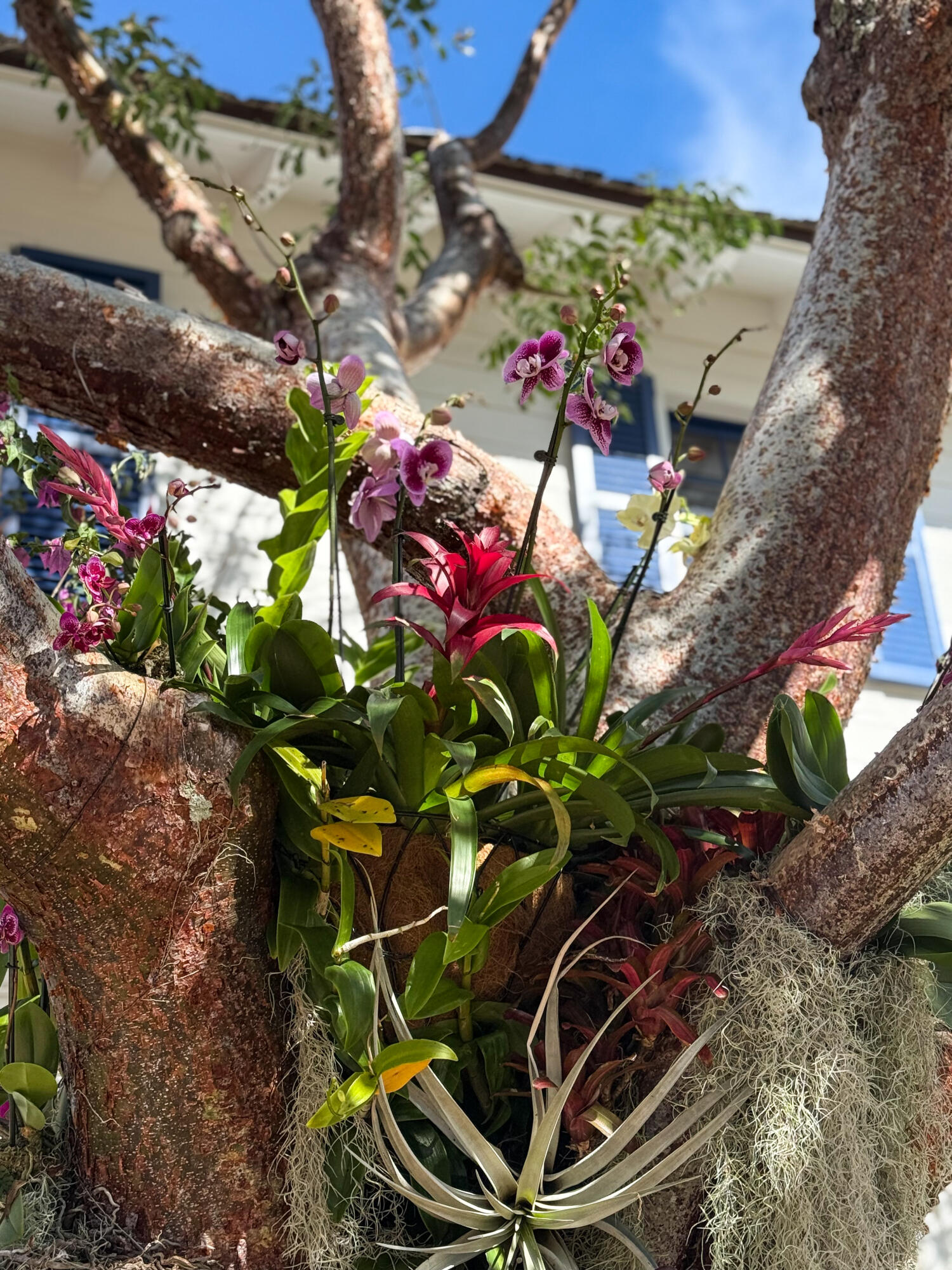 VEST POCKET LAKE WORTH FARMS IN - Residential