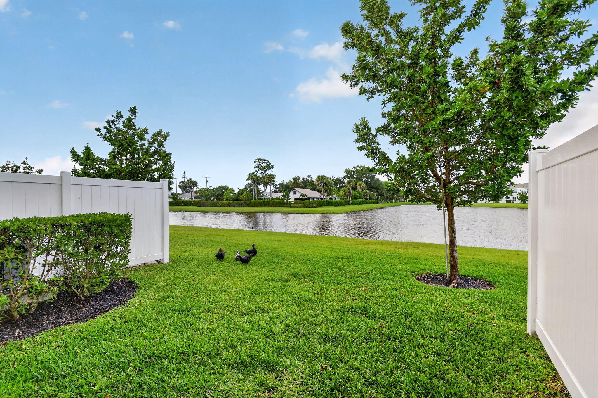 LAKESHORE AT THE FOUNTAINS - Residential