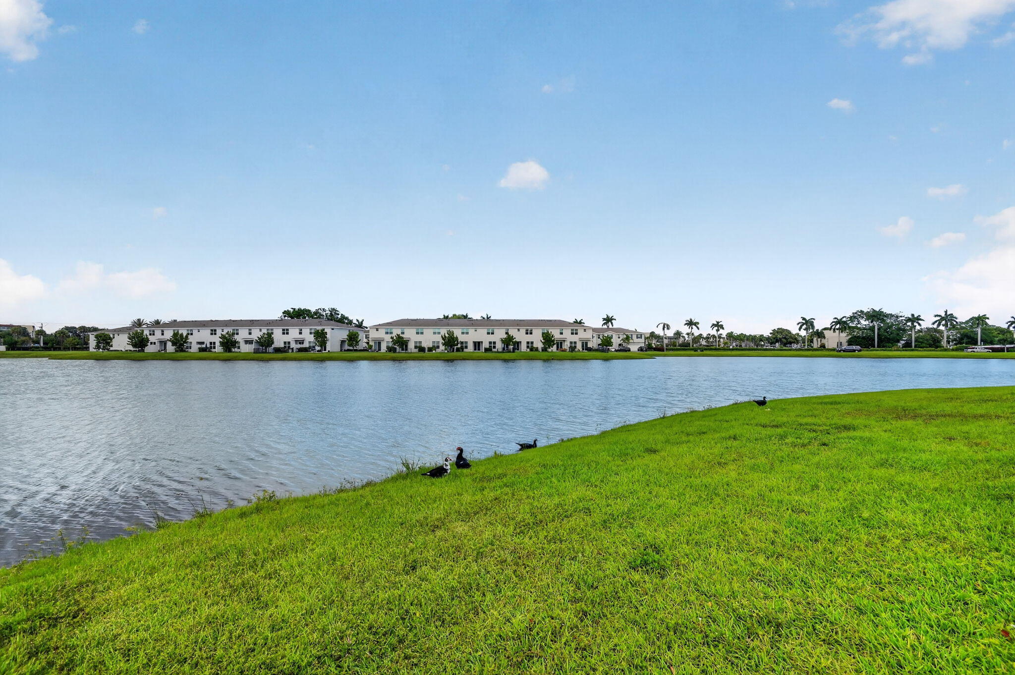 LAKESHORE AT THE FOUNTAINS - Residential