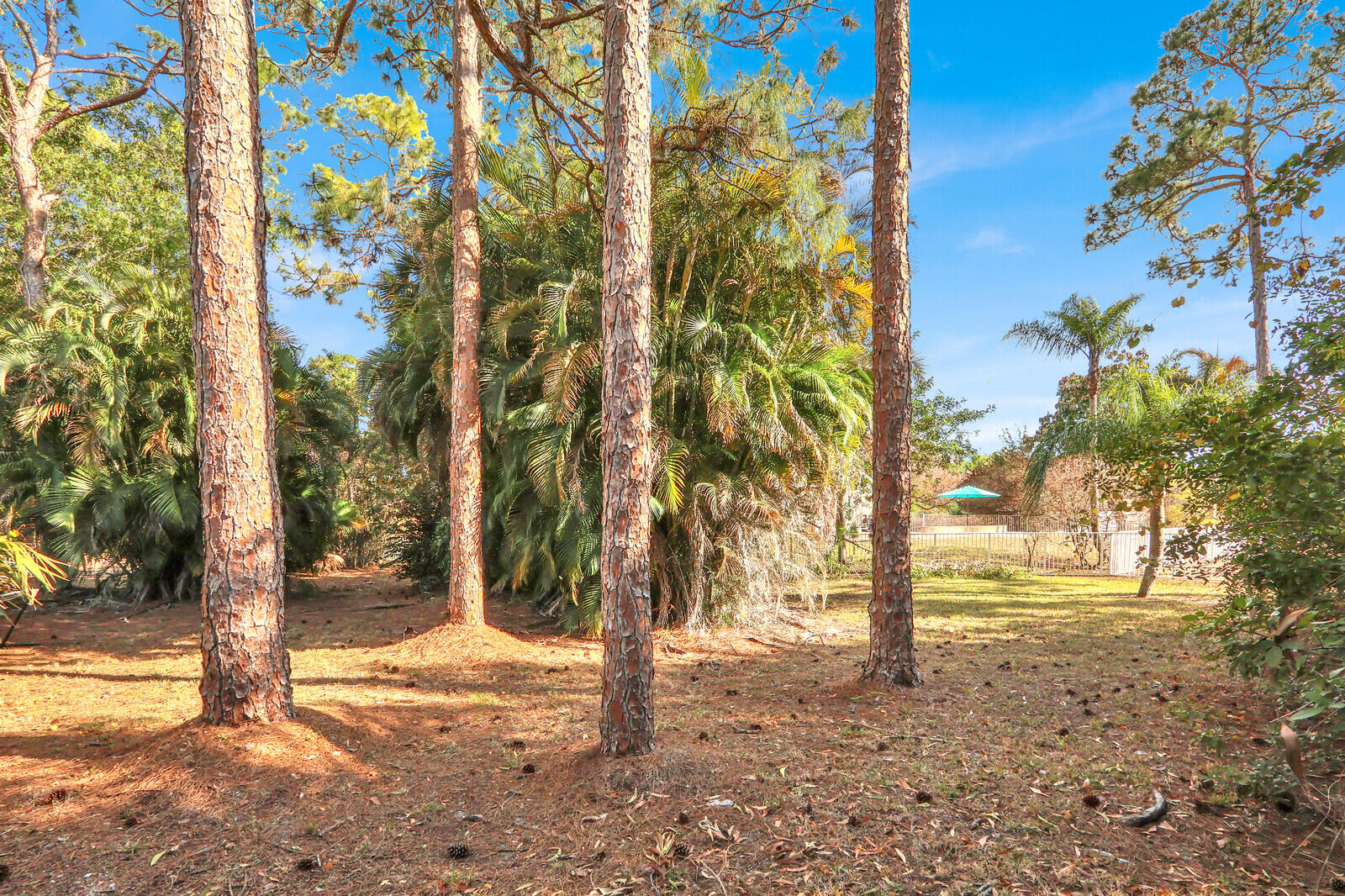 14-43-40~ E 209.6 FT OF W   4636.6 FT OF S 237.9 F - Residential