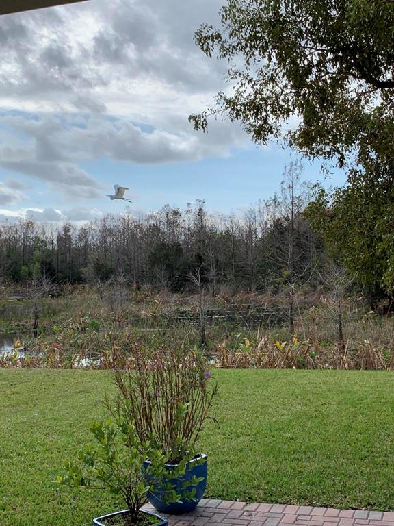 OLYMPIA 2 - Residential