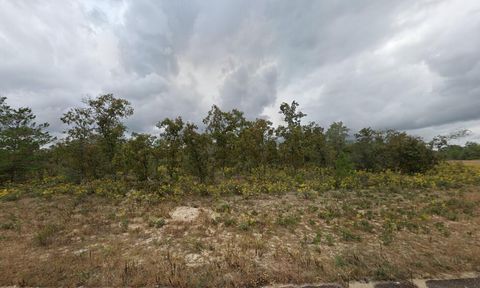 Tbd Dellbrook Drive Chipley FL 32428
